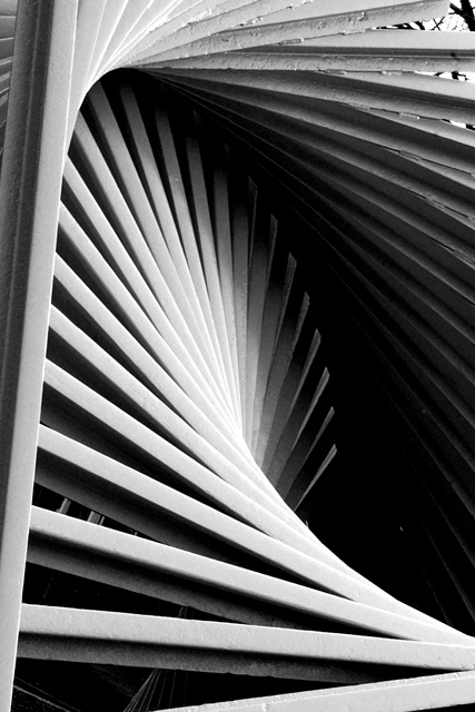 Staring up the Corporate Ladder. With much at stake, do we dare take a step?